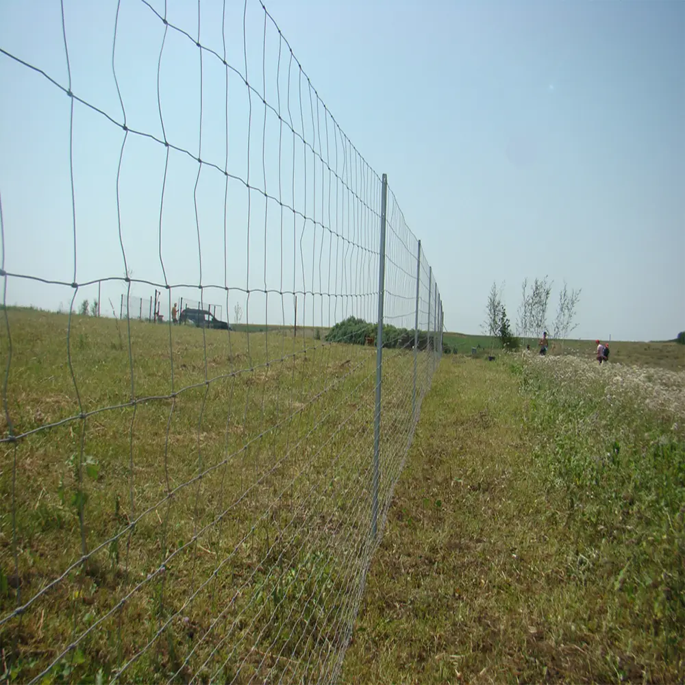 Plasă gard înnodată zincată Galvafield, 1 m, 8 fire la 150 mm, fir 1.9 + 2.2 mm, rolă 100 m – peisaj natural