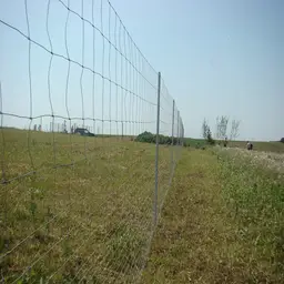 Plasă gard înnodată zincată Galvafield, 1 m, 8 fire la 150 mm, fir 1.9 + 2.2 mm, rolă 100 m – peisaj natural