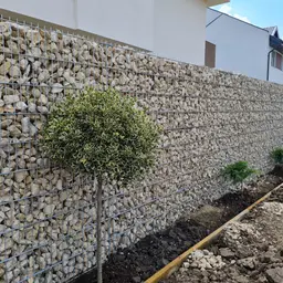 Gard din gabioane cu piatră – plante decorative, zonă rezidențială