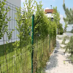 Plasă gard Hortaplast zincată și plastifiată, 1.2 m, rolă 25 m – împrejmuire lângă o alee pavată