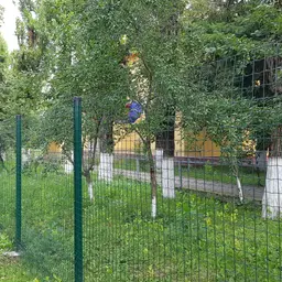 Plasă gard Multiplast zincată și plastifiată, 1.5 m, rolă 25 m – gard verde lângă copaci