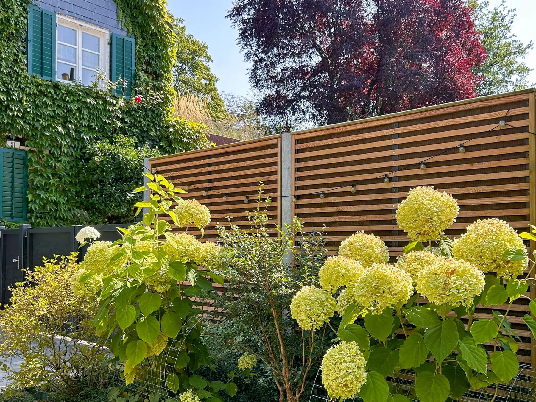 Gard fonoabsorbant din lemn Noistop Wood – lamele orizontale, hortensii