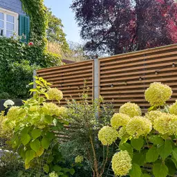 Gard fonoabsorbant din lemn Noistop Wood – lamele orizontale, hortensii