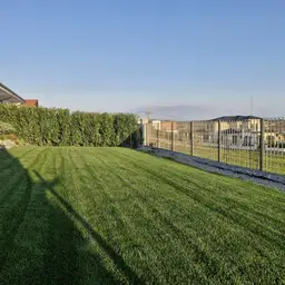 Gard de securitate, panou metalic Plusar – delimitare grădină cu plante decorative