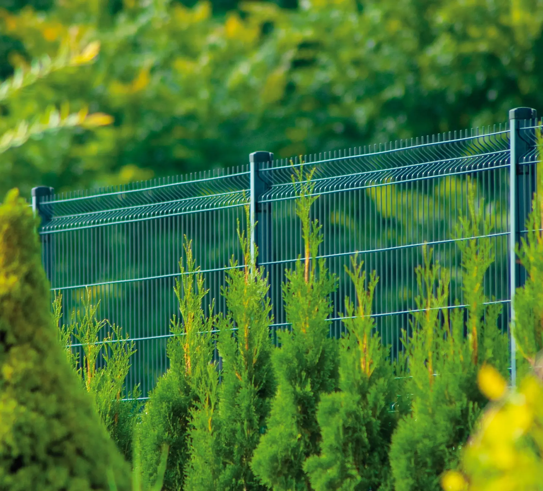 Gard panou bordurat Vega B 3D PVC verde 1.03 x 2.5 m, sârmă 5 mm – printre arbuști