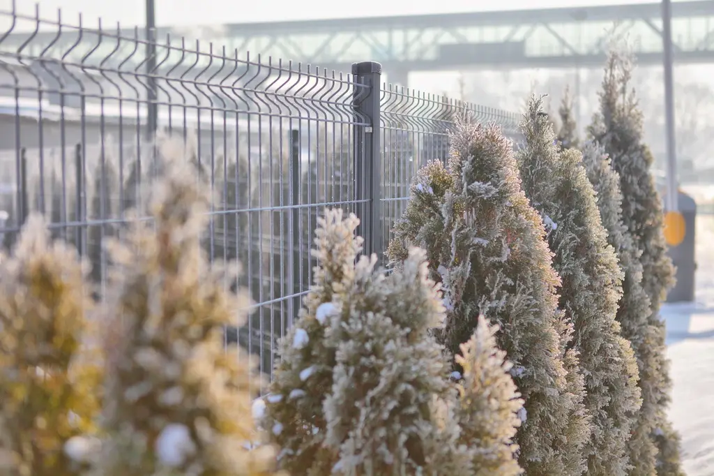 Gard panou bordurat Vega B 3D zincat 1.03 m, sârmă 5 mm – conifere cu zăpadă, zonă industrială