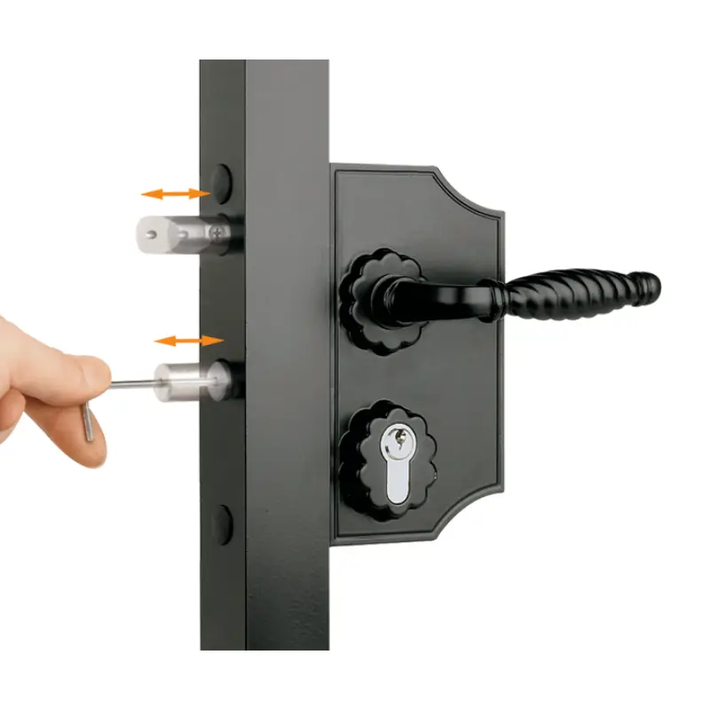 Încuietoare cu ornament Locinox LAKQ H2 pentru porți – mâner ornamental și cheie în cilindru
