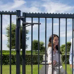 Amortizor hidraulic Verticlose negru – poartă modernă deschisă la o proprietate